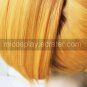 Vampire Knight Touya Rima cosplay wig