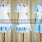 Alice Costume from Alice in Wonderland