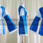 Echo Costume from Pandora Hearts