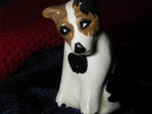 Dog Back Ear Brown Ear