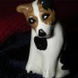 Dog Back Ear Brown Ear