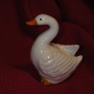 Lucy Goosy or is it Ducky Lucky