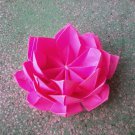 Pink color lotus