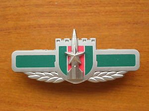 07's series China PLA Second Artillery Badge
