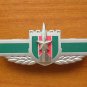 07's series China PLA Second Artillery Badge