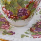 Royal Minster Fine Bone Cup and saucer Bone China