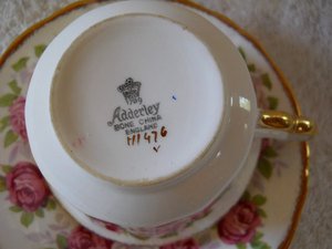 Springdale 1850 Floral Folly Bone China England