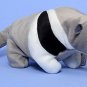 Ants the Anteater Beanie Babies