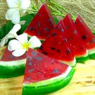 Watermelon  Natural  Soap
