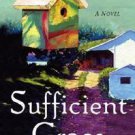 Sufficient Grace by Darnell Arnoult (2006, Hardcover)~Like New w/Free Shipping!!
