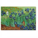 100% Hand Painted Vincent van Gogh Irises Oil Painting Reproductions Famous Artwork for Sale!