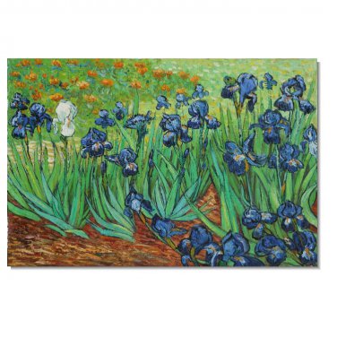 100% Hand Painted Vincent van Gogh Irises Oil Painting Reproductions Famous Artwork for Sale!