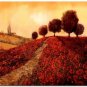 Flower Field Landscape Oil Painting Italian Tuscany Landscape Poppy Field Vineyard-210 High