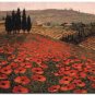 Flower Field Landscape Oil Painting Italian Tuscany Landscape Poppy Field Vineyard-223 High