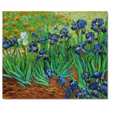 100% Hand Painted Vincent van Gogh Irises Reproductions Canvas Art Strong Brush Strokes Very