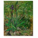 100% Hand-Paint The Iris Vincent van Gogh Oil Painting Reproduction Hand Painted High Quality