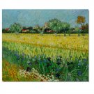 View of Arles with Irises Vincent van Gogh Oil Painting Reproduction Hand Painted High Quality