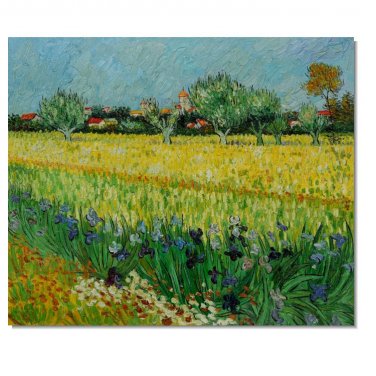 View of Arles with Irises Vincent van Gogh Oil Painting Reproduction Hand Painted High Quality