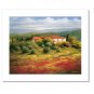 Flower Field Landscape Oil Painting Italian Tuscany Landscape Poppy Field Vineyard-019 High