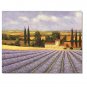 Flower Field Landscape Oil Painting Italian Tuscany Landscape Poppy Field Vineyard-027 High