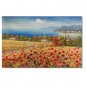 Flower Field Landscape Oil Painting Italian Tuscany Landscape Poppy Field Vineyard-038 High
