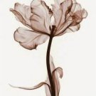 Flowers Art Decor-014 Painting on Canvas Hand Painted High Quality Wall Art for Home Decor
