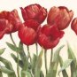 Flowers Art Decor-090 Painting on Canvas Hand Painted High Quality Wall Art for Home Decor