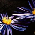 Purple Daisies Painting on Canvas Hand Painted High Quality Wall Art for Home Decor