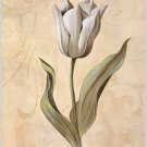 Single White Tulips Painting on Canvas Hand Painted High Quality Wall Art for Home Decor