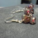 Plun Colored Earrings