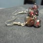 Plun Colored Earrings