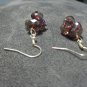 Plun Colored Earrings