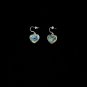 Abalone Paua Heart Shell Earrings