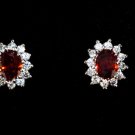 Red Hot Crystal Earrings