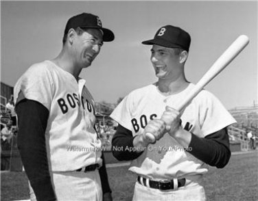 CARL YASTRZEMSKI TED WILLIAMS BASEBALL PHOTO