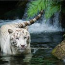 Rare White Bengal Tiger Color Poster Photo Picture Zoo Pet Shop Kids Room Decor