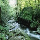 Tennessee Smokey Mountain 13 by 19 Photograph
