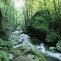Tennessee Smokey Mountain 13 by 19 Photograph