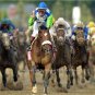PREAKNESS RACEHORSE AMERICAN THOROUGHBRED BARBARO KENTUCKY DERBY WINNER PHOTO