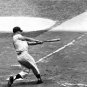ROGER MARIS YANKEES BASEBALL PHOTO 11 X 14