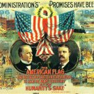 PRESIDENTIAL CAMPAIGN POSTER COLOR PHOTO THEODORE ROOSEVELT WILLIAM MCKINLEY