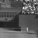 WILLIE MAYS  BASEBALL 1954 WORLD SERIES CATCH PHOTO