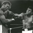 GEORGE FOREMAN MUHAMMAD ALI WORLD UNDISPUTED HEAVYWEIGHT BOXING CHAMPIONS PHOTO
