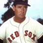 TED WILLIAMS BOSTON RED SOX BASEBALL HALL OF FAME SPLENDID SPLINTER COLOR PHOTO