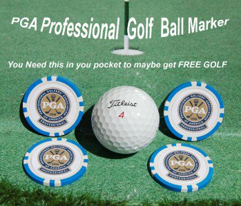 PGA PROFESSIONAL BLUE POKER CHIP GOLF BALL MARKERS COLLECTABLE GIFT ACCESSORIES