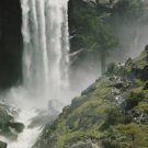 Yosemite National Park  Day Photo  13 by 19 Photograph