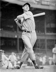 TED WILLIAMS BOSTON RED SOX BASEBALL  11 X 14 PHOTO