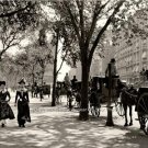 PHOTO 1899 BROOKLYN NEW YORK CITY CENTRAL PARK HORSE CARRIAGES NOSTALGIC LOOKING