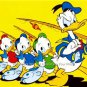 Donald Duck Fishing Photo Poster 13 x 19