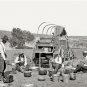 Texas Cowboys Chuck Wagon Camp Fire 1901 Photo Open Range Cooking Black Coffee